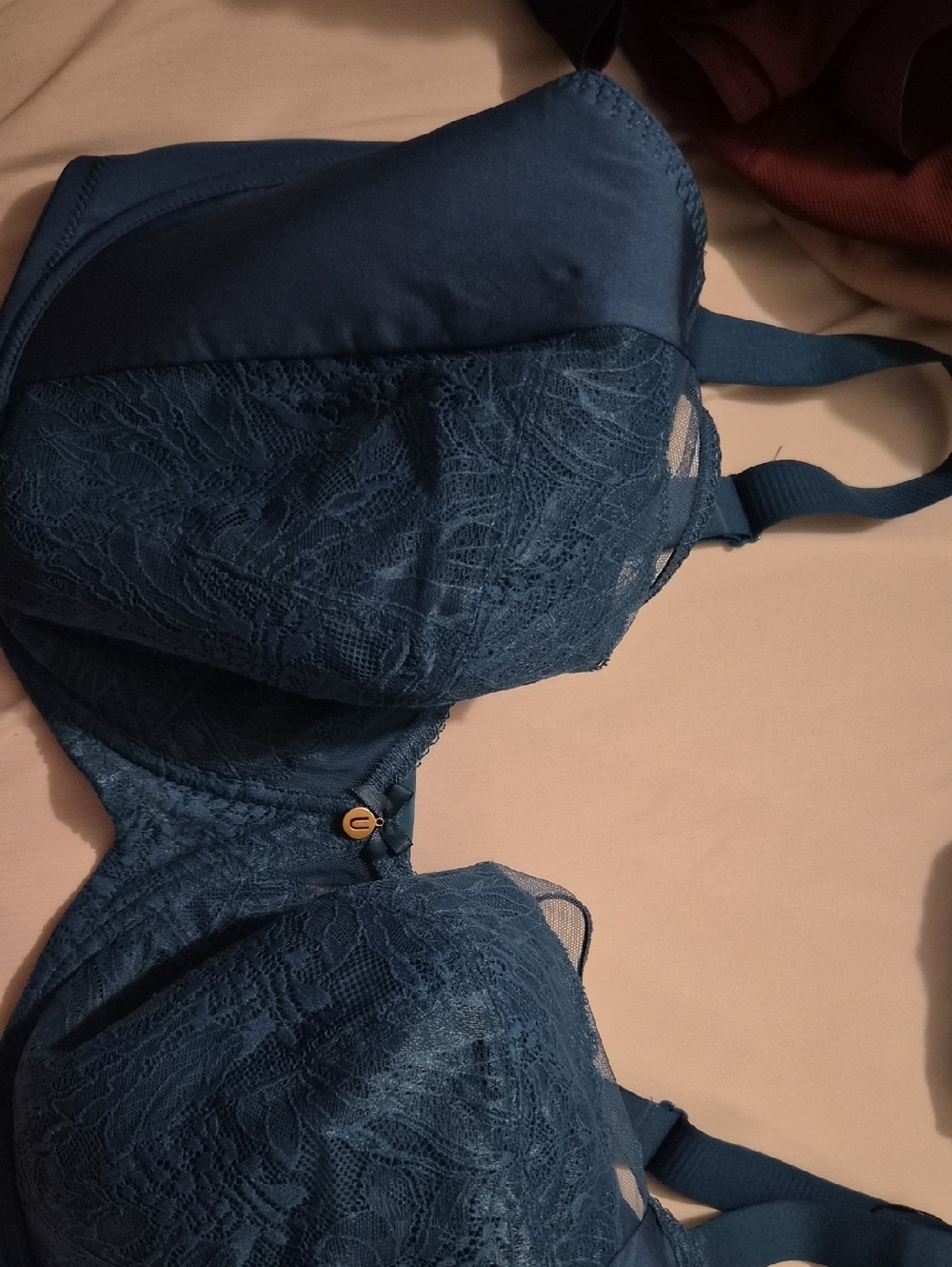 NWT Gorgeous peacock blue bra